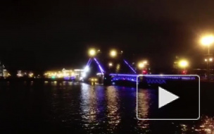 В Петербурге 2317 раз разводили мосты за 2016 год