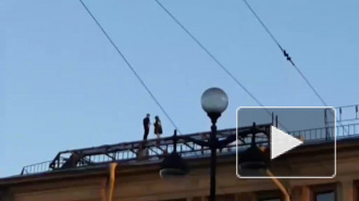 Группа руферов облюбовала крыши на Невском проспекте (видео)