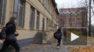 Погоня за вандалами: подростки разгромили детский сад на Петроградке и убежали