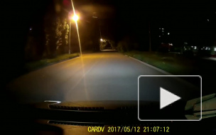 В Таганроге «бессмертный» велосипедист выскочил перед проезжающей машиной