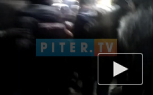 На Малой садовой полицейские задерживают активистов 