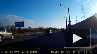 Малинки в Днепропетровске.
