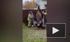 В Выборгском районе спасли лошадь, которая провалилась под землю 