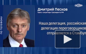 Песков: российская делегация отправляется в Стамбул