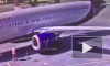 Видео из Шереметьево: Сотрудник забросил сигнальный конус на крыло самолета и ушел