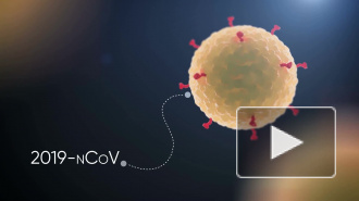 В России создали альянс по борьбе с коронавирусом