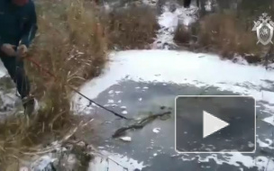 В Смоленской области пропавшего 6-летнего мальчика нашли в пруду