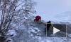 Видео: В Колорадо спасли оленя, который провалился под лед