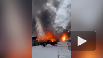 Видео: в Ленобласти 20 пожарных тушили пожар на 1 000 "квадратов"