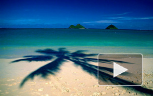 Руководство турфирмы "Нева" обвинило в разорении экономические санкции против России