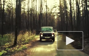 Новости часа: 21 ноября, 12.00