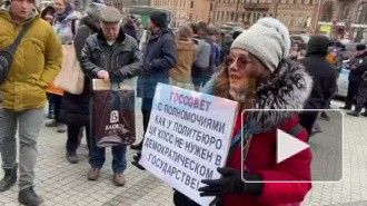 У ТРЦ "Галерея" началась акция в защиту конституционного строя