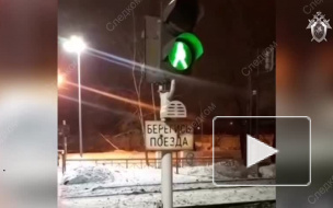 В подмосковном Отрадное электричка сбила двух человек