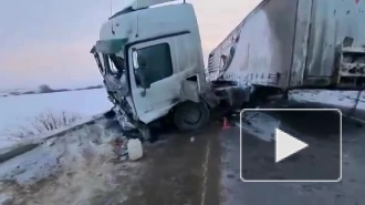 В Мордовии при столкновении легковушки с грузовиком погибли пять человек