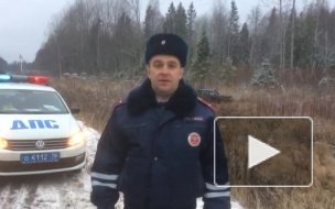 В аварии в Волховском районе погибла 49-летняя пассажирка