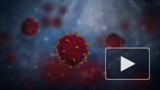 В России начались испытания вакцины от коронавируса на животных