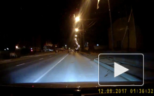 В Якутске автомобиль сбил лошадь