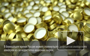 Время самогона: импортный алкоголь исчезнет из России на 3 месяца