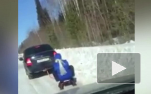 Видео с Урала: легкомысленная бабушка повелась на уговоры внука