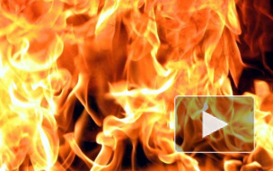 Ночью в Петербурге машины горели и сшибали столбы