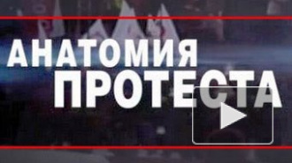 «Анатомия протеста-2»: оппозиция готовила захват власти и теракты