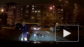 Петербурженка выгуливала ребенка на поводке