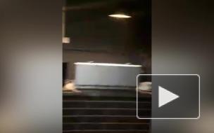 Полиция накрыла подпольный покерный клуб на Комендантском проспекте