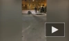 Во Львове сотрудники военкомата силой затолкали мужчину в микроавтобус