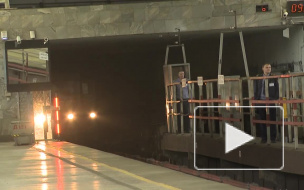 Ространснадзор недоволен очередями в метро Петербурга и требует увеличить число рамок