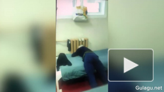 ОНК потребовала от главы СК расследовать пытки в "Крестах"