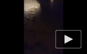 На Неве появился первый лед