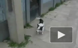 Новый метод)