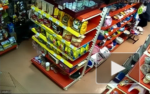 Из зоомагазина возле метро "Пионерская" украли кролика