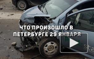 Что произошло в Петербурге 29 января