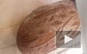 В Петербурге опровергли установление хлебной нормы на случай войны