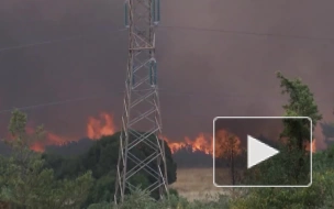 Более 300 человек спасли из района пожара в пригороде Афин