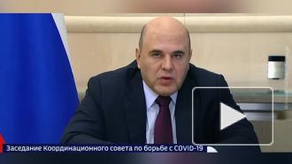Мишустин поручил разработать допмеры по защите россиян от COVID-19