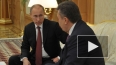 Новости с Майдана: Путин обещает помощь и осуждает ...