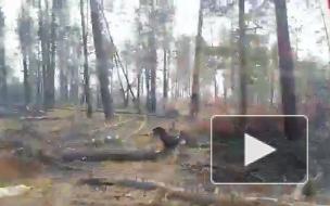 В Якутии ввели режим ЧС из-за лесных пожаров