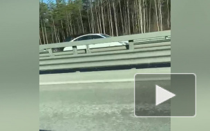 На ЗСД в Петербурге иномарка мчалась по встречной полосе