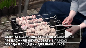 В трех парках Петербурга оборудуют площадки для жарки шашлыков