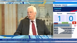 Грызлов: Украина хочет считать себя главной занозой в теле России