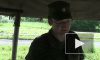 «Рубеж 2011». Военные медики спасают раненых на поле боя