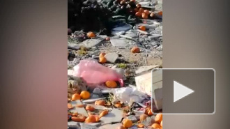 Жители нашли свалку с гниющими продуктами у ЖК "Чистое небо"