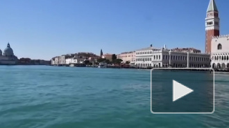 В Венеции из-за карантина во время пандемии очистилась вода в каналах