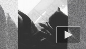 Моё видео