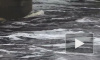 Жители Амурской области публикуют видео небывалого наводнения