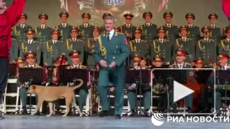 Собака стала участницей концерта ансамбля имени Александрова в Турции