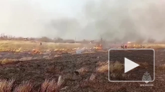 В Хабаровске загорелась трава на части Большого Уссурийского острова