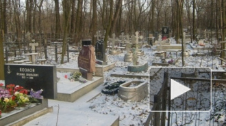 Под Петербургом возле кладбища найдены мертвыми брат и сестра